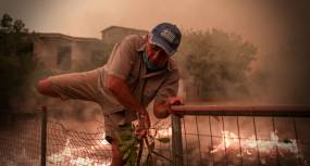 Greenpeace για Εύβοια: Οι πληγές των καταστροφικών πυρκαγιών παραμένουν ανοιχτές