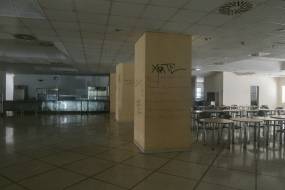 Εικόνες ντροπής στις φοιτητικές εστίες Κομοτηνής: Ζουν ανάμεσα σε «βουνά» σκουπιδιών και ποντίκια