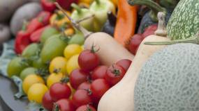 Κατά 31,36% αυξήθηκαν οι εισαγωγές φρούτων και λαχανικών τον Ιανουάριο 2024